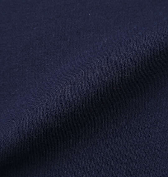 DICKIES エンブロイダリーロゴプルパーカー ネイビー