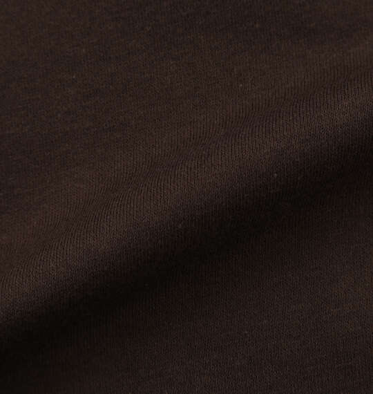 DICKIES エンブロイダリーロゴプルパーカー ダークブラウン