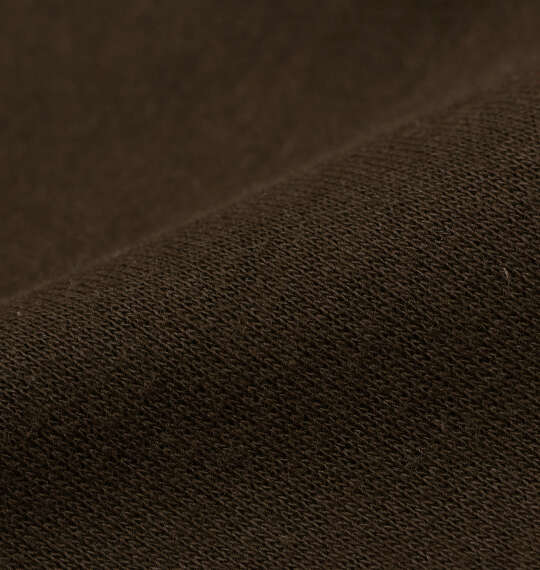 DICKIES エンブロイダリーロゴフルジップパーカー ダークブラウン