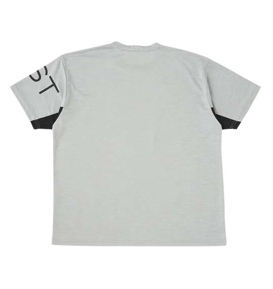 EVERLAST カチオン半袖Tシャツ ライトグレー