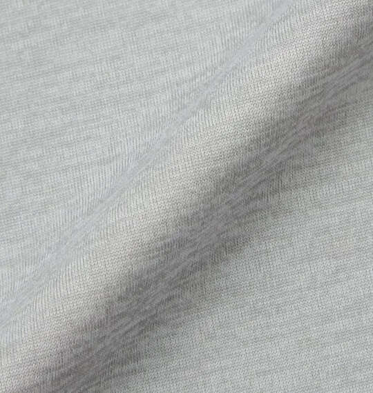 EVERLAST カチオン半袖Tシャツ ライトグレー