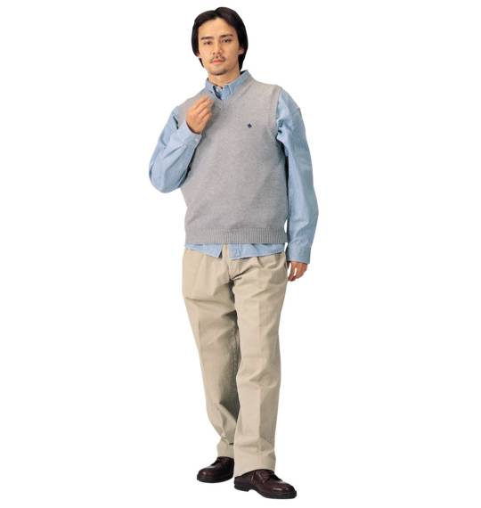 POLO BCS Ｖネックベスト グレー