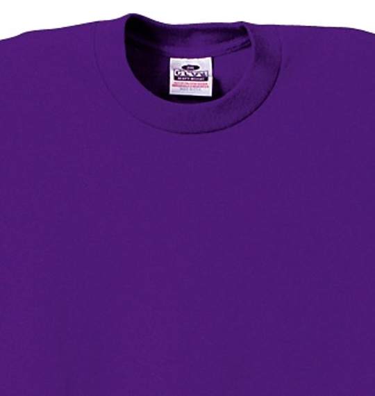 PROCLUB Tシャツ パープル