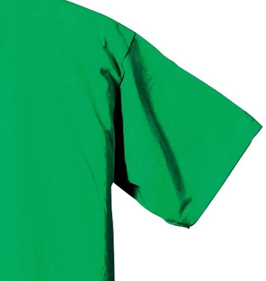 PROCLUB Tシャツ ケリーグリーン