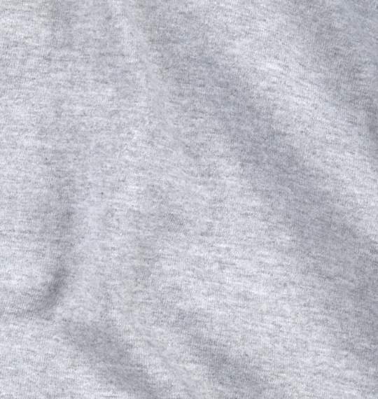 PROCLUB Tシャツ ヘザーグレー